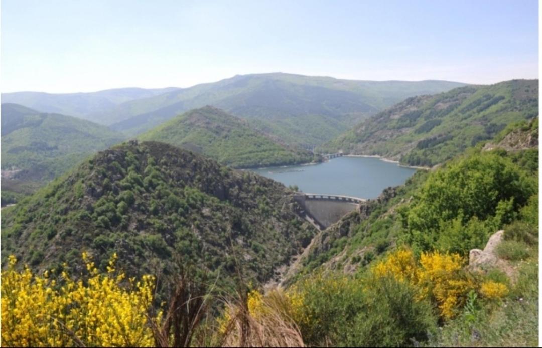 Sur Les Rochers Du Lac & Location-Rando En Vtt Villefort  Εξωτερικό φωτογραφία