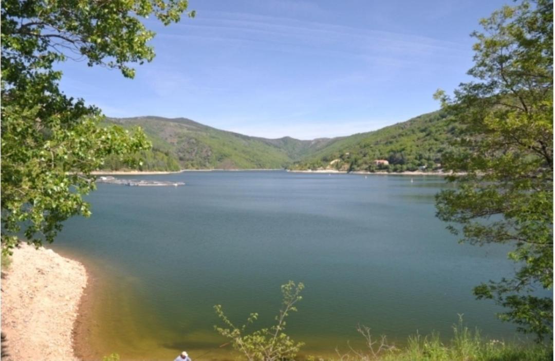 Sur Les Rochers Du Lac & Location-Rando En Vtt Villefort  Εξωτερικό φωτογραφία