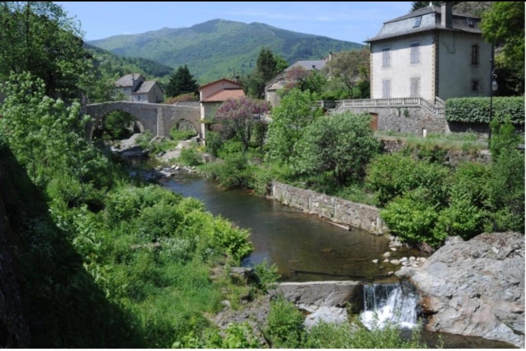 Sur Les Rochers Du Lac & Location-Rando En Vtt Villefort  Εξωτερικό φωτογραφία